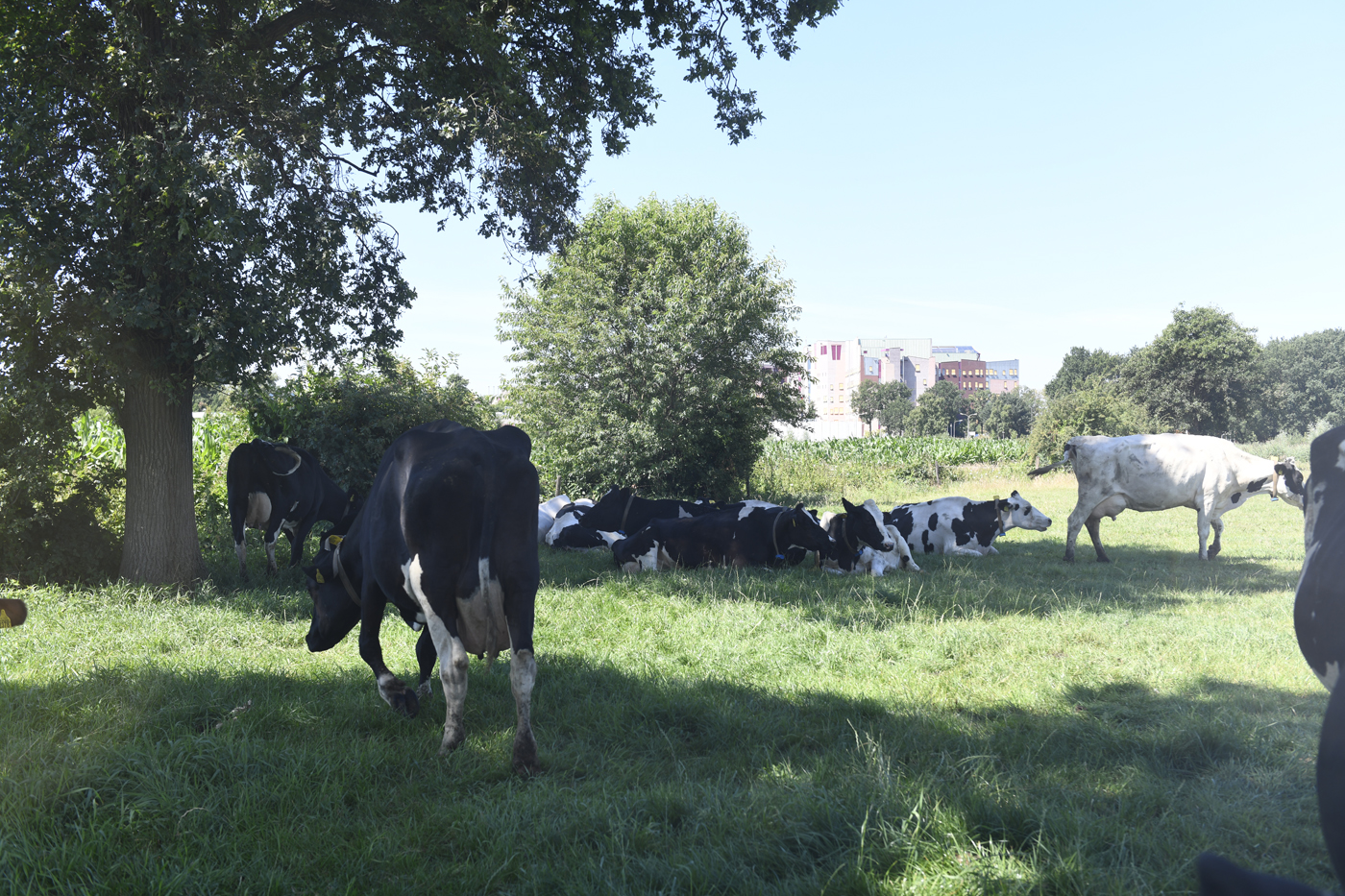 Het Rode Huis - Zwolse Stadslanderijen
